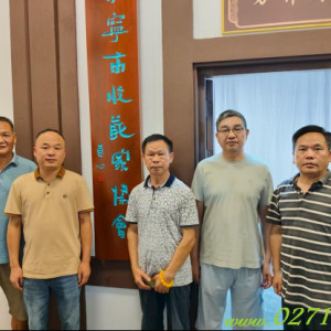 咸宁收藏